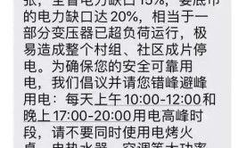 义乌现场：不缺电为何被限电？企业为何疯抢柴油发电机(南方周末柴油发电机能源企业)
