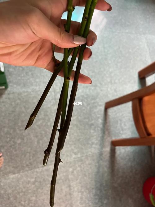 拿去店里修了,今天过来看看在修了没(兄弟们到货花了看一下前几天) 汽修知识 拿去店里修了,今天过来看看在修了没(兄弟们到货花了看一下前几天) 汽修知识