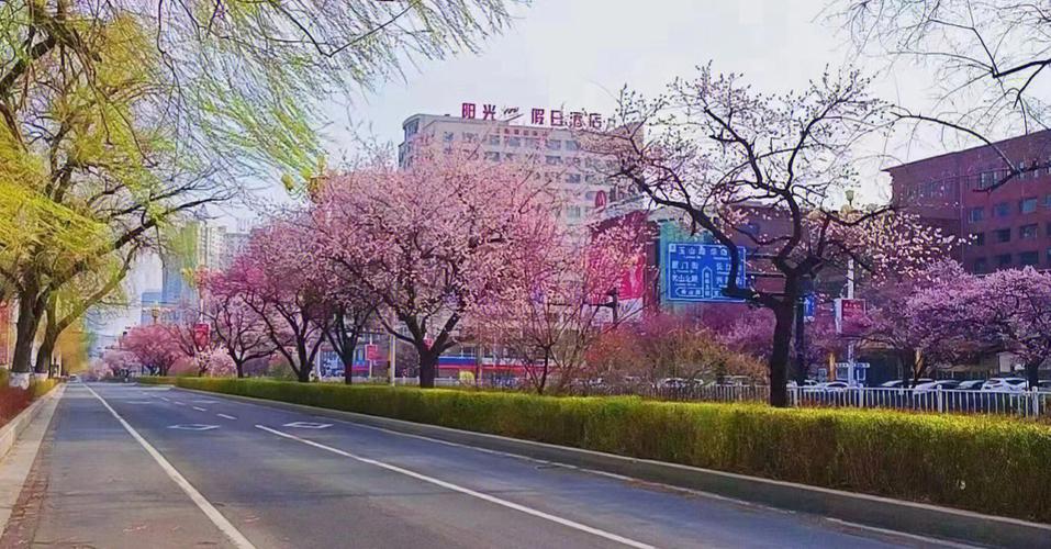吉林:白山松水迎来创新发展的春天(项目发展振兴汽车农田) 汽修知识 吉林:白山松水迎来创新发展的春天(项目发展振兴汽车农田) 汽修知识