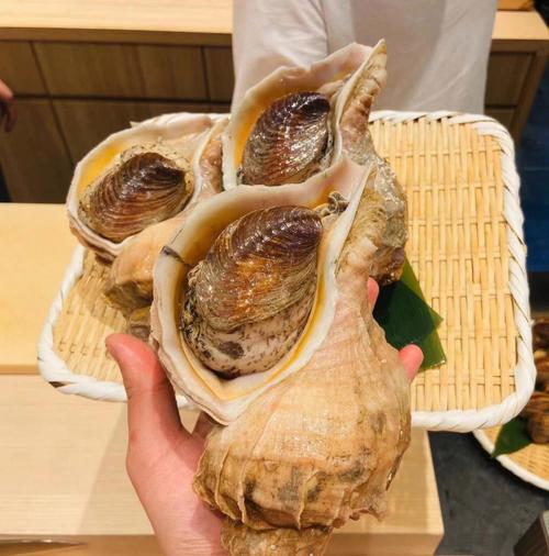 却风情迥异!地域文化有四大差别(玉环沙滩差别迥异海鲜) 汽修知识 却风情迥异!地域文化有四大差别(玉环沙滩差别迥异海鲜) 汽修知识