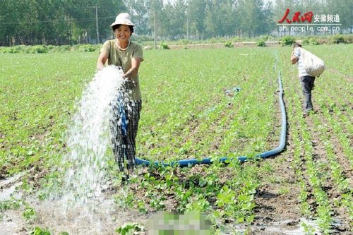 抗旱!沂水在行动!(抗旱沂水抢种水肥灌溉) 汽修知识 抗旱!沂水在行动!(抗旱沂水抢种水肥灌溉) 汽修知识