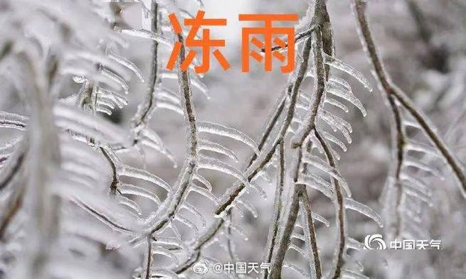 冻雨是一种什么现象 育学科普 冻雨是一种什么现象 育学科普
