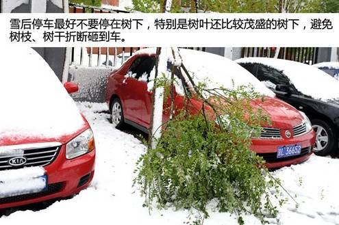 青春分享重要通知!信阳市车管所暂停对外办公(附:大雪之后如何挖出自己的爱车)(自己的爱车挖出大雪暂停) 汽修知识 青春分享重要通知!信阳市车管所暂停对外办公(附:大雪之后如何挖出自己的爱车)(自己的爱车挖出大雪暂停) 汽修知识