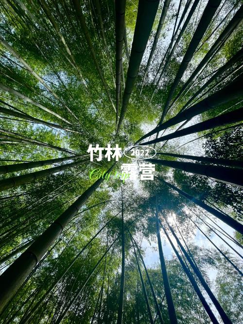 驭马自由行邛崃站 竹林深处的匠心之旅(竹林匠心之旅深处自由) 汽修知识 驭马自由行邛崃站 竹林深处的匠心之旅(竹林匠心之旅深处自由) 汽修知识