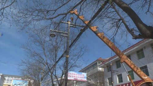 引发争议→(步道路灯小区居民修缮) 汽修知识 引发争议→(步道路灯小区居民修缮) 汽修知识