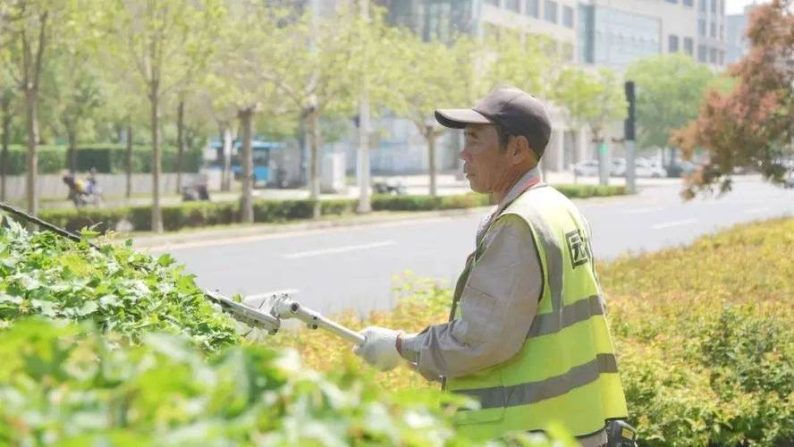 精修细剪 园林工人全力做好马拉松赛事沿线绿化保障工作(园林沿线鲅鱼马拉松绿化) 汽修知识 精修细剪 园林工人全力做好马拉松赛事沿线绿化保障工作(园林沿线鲅鱼马拉松绿化) 汽修知识