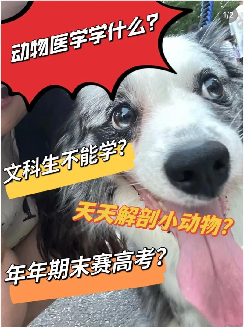 为什么说动物医学专业坑死我了 育学科普 为什么说动物医学专业坑死我了 育学科普