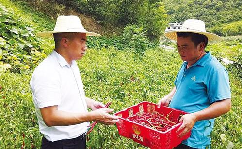 贵州省政协委员石通佾:快(毛南族村民政协委员发展交通) 汽修知识 贵州省政协委员石通佾:快(毛南族村民政协委员发展交通) 汽修知识
