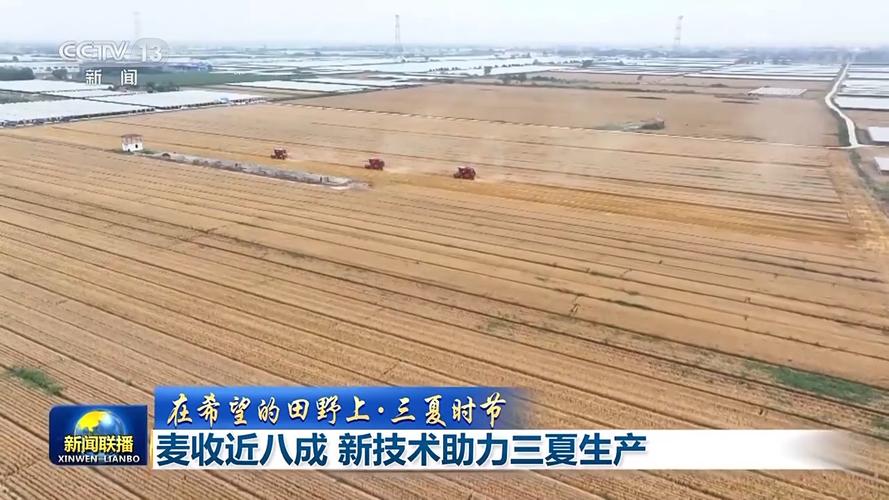 开荒种果种稻终获丰收(开荒退役乡村种稻坚守) 汽修知识 开荒种果种稻终获丰收(开荒退役乡村种稻坚守) 汽修知识