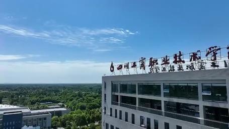 四川卫生康复职业学院是公办还是民办大学? 育学科普 四川卫生康复职业学院是公办还是民办大学? 育学科普