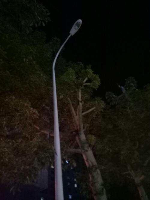 今晚亮灯!二环家门口多年不亮的路灯开修了(路灯维修两条新东方就能) 汽修知识 今晚亮灯!二环家门口多年不亮的路灯开修了(路灯维修两条新东方就能) 汽修知识