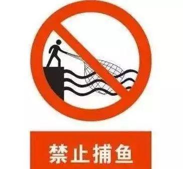 被抓了!(潜水捕捞禁止禁渔大鱼) 汽修知识 被抓了!(潜水捕捞禁止禁渔大鱼) 汽修知识