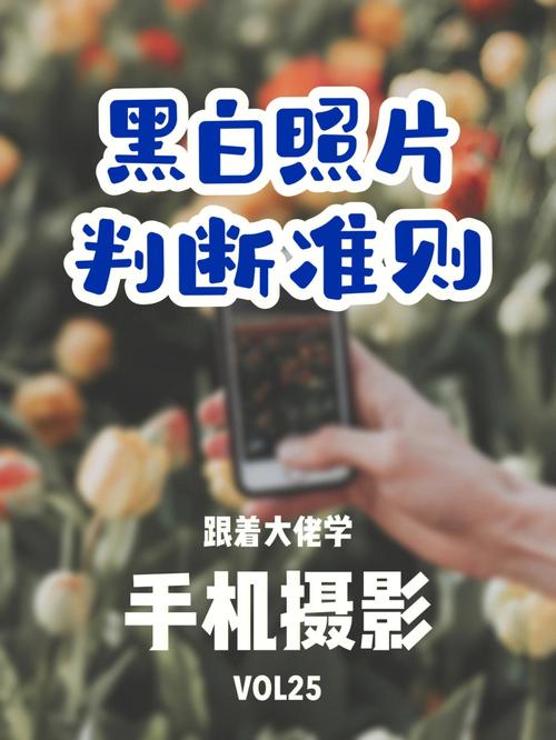 手机:翻拍黑白底片技巧(底片翻拍黑白技巧手机) 汽修知识 手机:翻拍黑白底片技巧(底片翻拍黑白技巧手机) 汽修知识