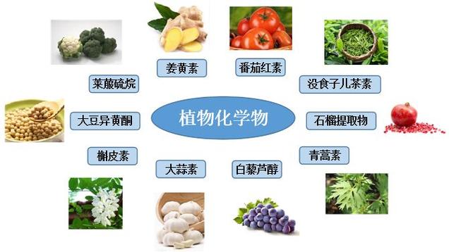 萜烯类物质在哪些食物 学类资讯 萜烯类物质在哪些食物 学类资讯