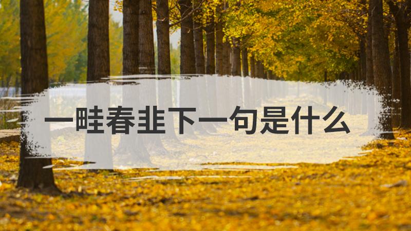 一畦春韭下一句是什么 学类资讯 一畦春韭下一句是什么 学类资讯