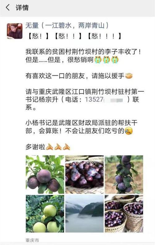 3000公斤青脆李三天卖光(武隆李子朋友圈果园订单) 汽修知识 3000公斤青脆李三天卖光(武隆李子朋友圈果园订单) 汽修知识