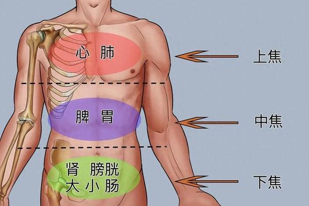 心肺脾胃都受罪!简单3招助通畅(脾胃暖气管道这条心肺) 汽修知识 心肺脾胃都受罪!简单3招助通畅(脾胃暖气管道这条心肺) 汽修知识