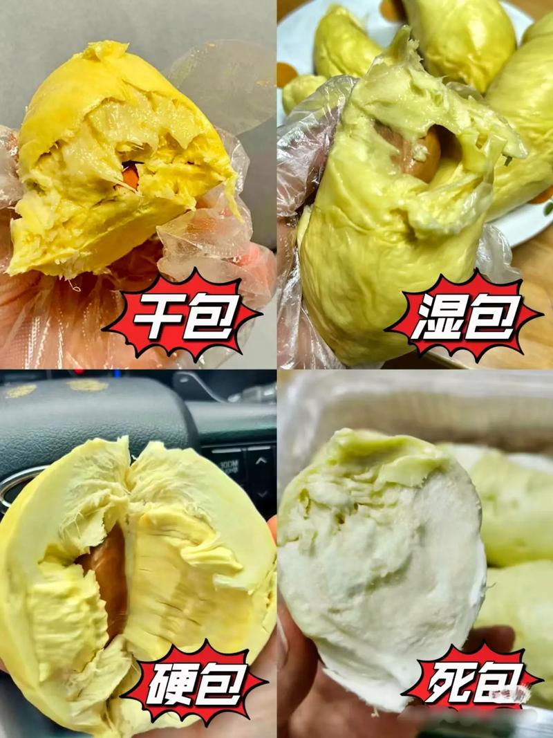 榴莲死包和没有成熟是如何区分 学类资讯 榴莲死包和没有成熟是如何区分 学类资讯