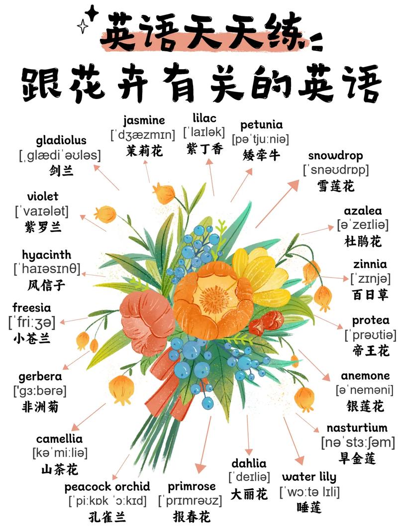 英语用英文怎么表达? 学类资讯 英语用英文怎么表达? 学类资讯
