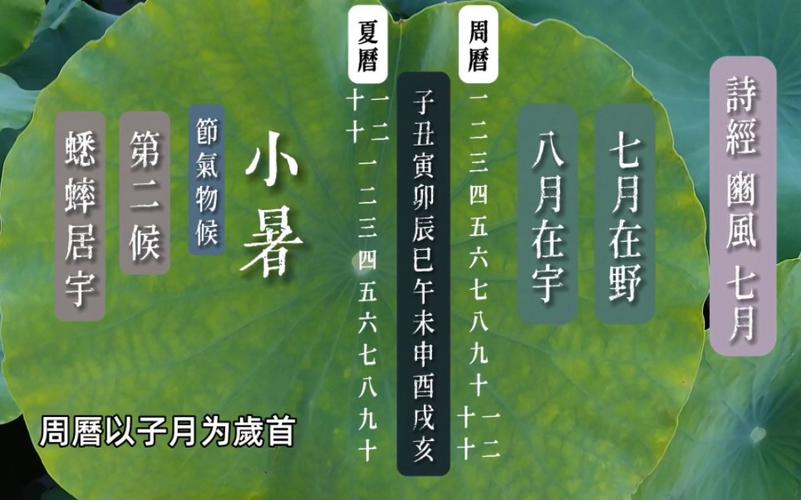 小暑是几月几日 学类资讯 小暑是几月几日 学类资讯