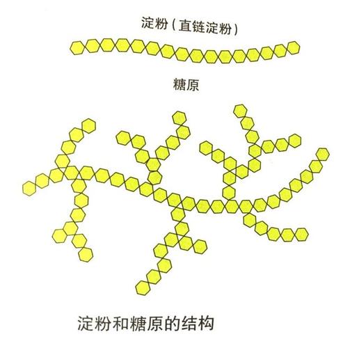 淀粉是还原糖吗 学类资讯