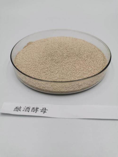 酿酒酵母和汉逊酵母区别 学类资讯 酿酒酵母和汉逊酵母区别 学类资讯