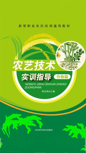 现代农艺技术主要是学什么 学类资讯 现代农艺技术主要是学什么 学类资讯