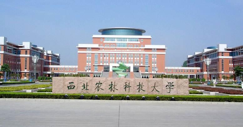 西北农林大学是985吗 学类资讯 西北农林大学是985吗 学类资讯