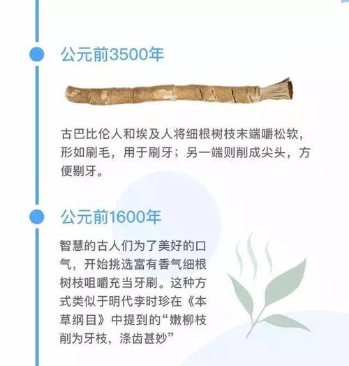 牙刷是谁发明的 学类资讯 牙刷是谁发明的 学类资讯
