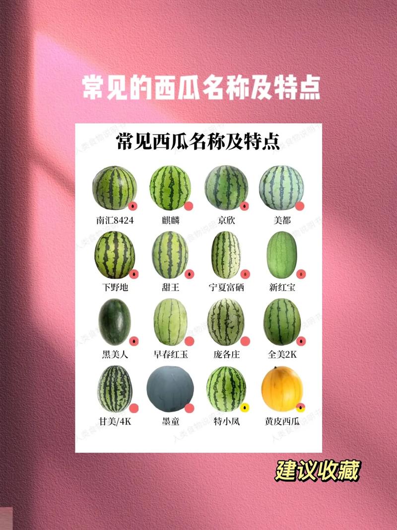 西瓜为什么叫西瓜 学类资讯 西瓜为什么叫西瓜 学类资讯
