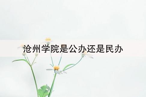 沧州师范学院是公办还是民办大学 学类资讯 沧州师范学院是公办还是民办大学 学类资讯