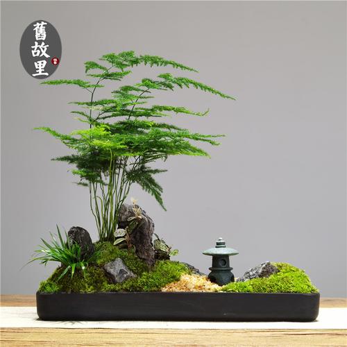 微盆景制作新媒体运营…温江这些企业招人啦 范文模稿 微盆景制作新媒体运营…温江这些企业招人啦 范文模稿