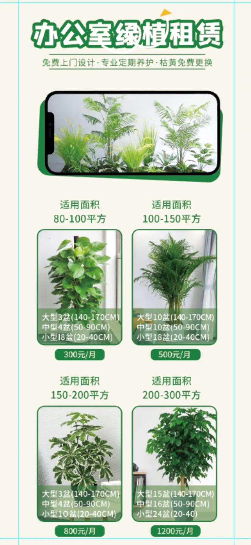 办公室区域绿植租摆方案和养护方案 范文模稿 办公室区域绿植租摆方案和养护方案 范文模稿