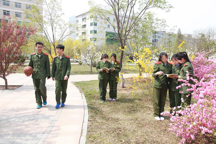 沈阳市第一一0中学绿植养护活动 范文模稿