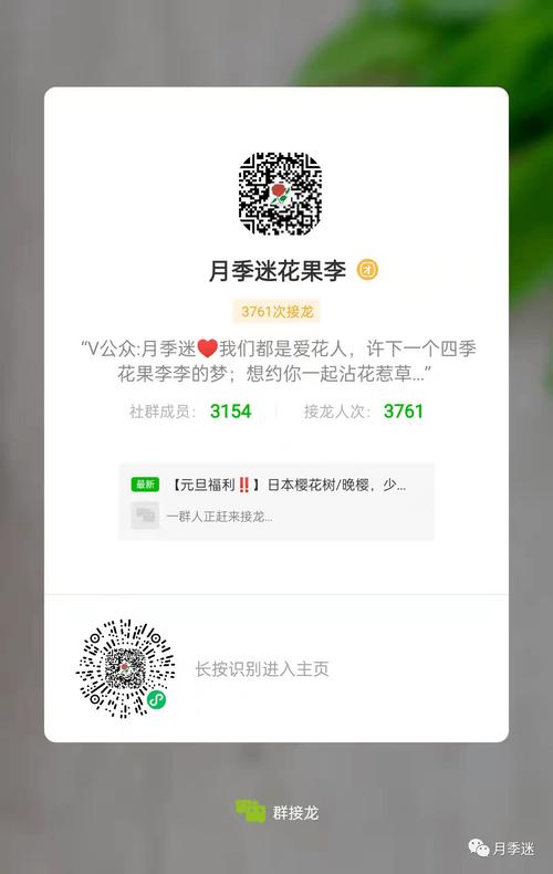 花友爱好者的元旦假期让我对生活有了全新的感悟和思考 范文模稿 花友爱好者的元旦假期让我对生活有了全新的感悟和思考 范文模稿