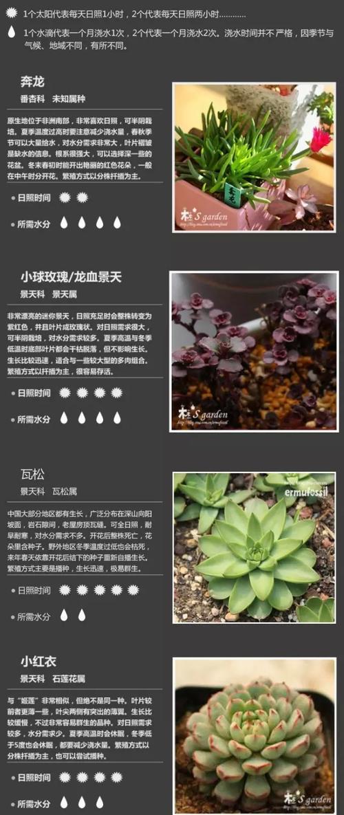 这5种植物有毒室内不要养一起看看都有哪些避开它 范文模稿 这5种植物有毒室内不要养一起看看都有哪些避开它 范文模稿