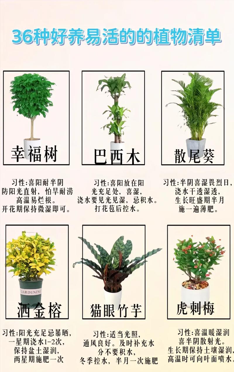 小盆栽养护全攻略让你的绿植生机盎然 范文模稿 小盆栽养护全攻略让你的绿植生机盎然 范文模稿