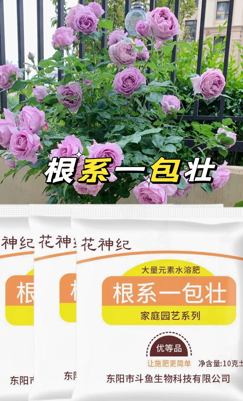 夏天养花的3个技巧根系壮枝叶绿继续开花一定要记住哦 范文模稿 夏天养花的3个技巧根系壮枝叶绿继续开花一定要记住哦 范文模稿