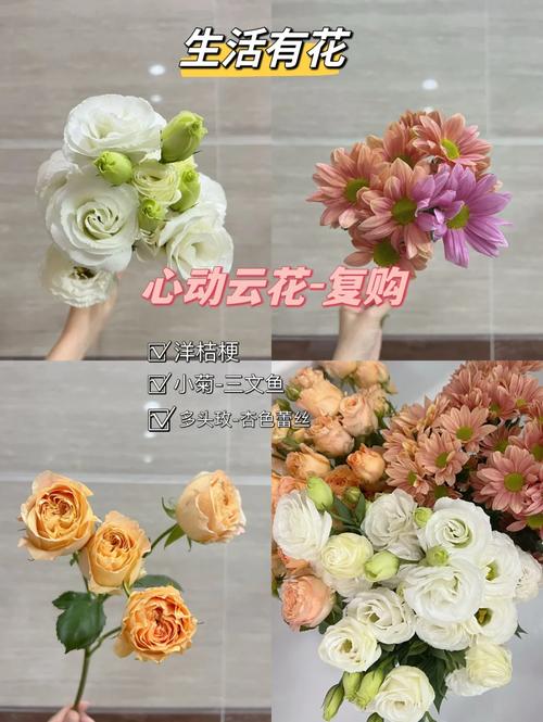 又是一期开箱视频包括收到鲜花后养活的处理方法哦花与生活 范文模稿 又是一期开箱视频包括收到鲜花后养活的处理方法哦花与生活 范文模稿