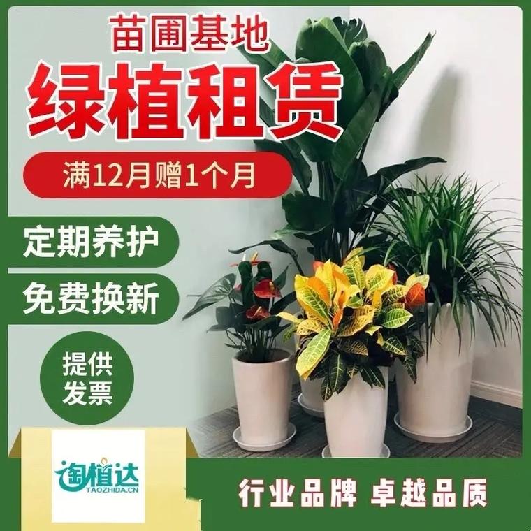 租摆园艺家政行业现状如何一名合格的养花师这些情况要了解 范文模稿 租摆园艺家政行业现状如何一名合格的养花师这些情况要了解 范文模稿