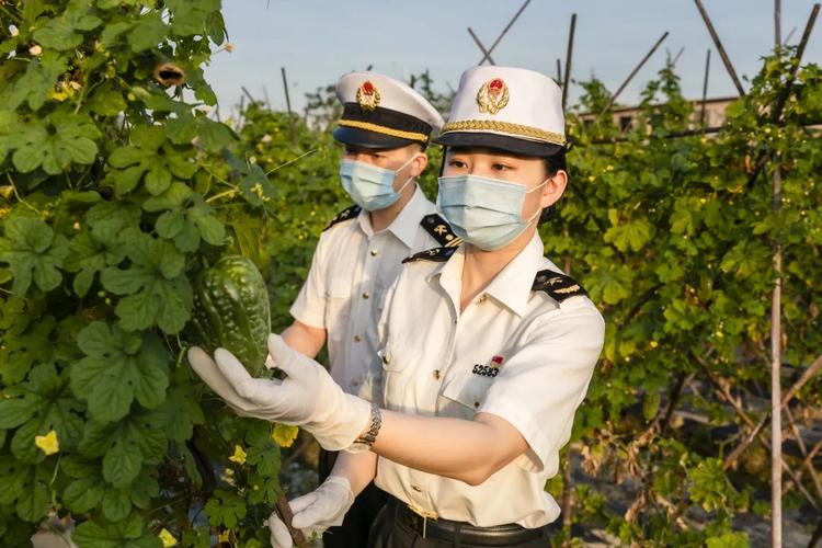 助企开拓新兴市场东莞海关为绿植组培苗设绿色通道 范文模稿 助企开拓新兴市场东莞海关为绿植组培苗设绿色通道 范文模稿