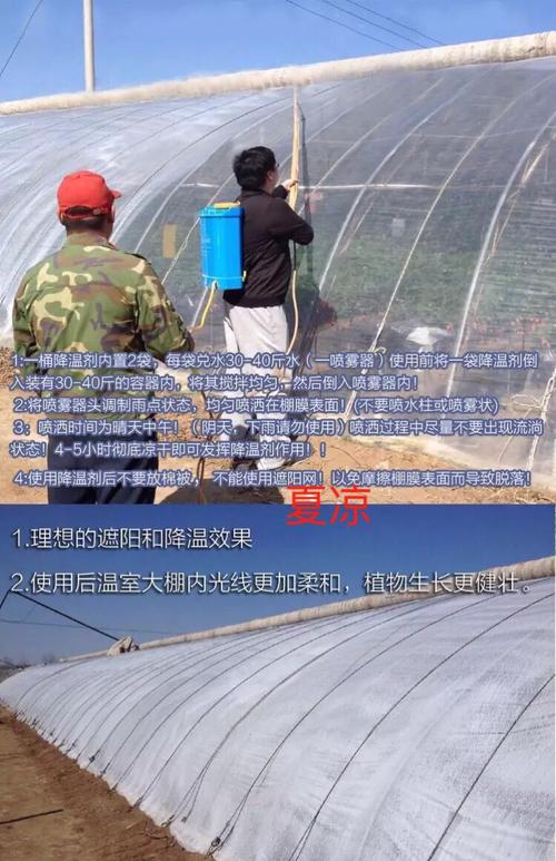 热热热大棚遮阳降温剂来了怎么喷效果更好 范文模稿 热热热大棚遮阳降温剂来了怎么喷效果更好 范文模稿
