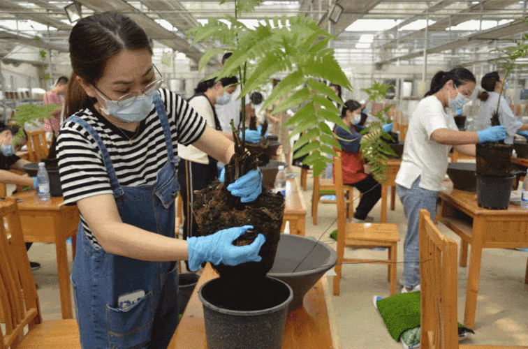 苏州相城元和街道市政部门举办元小匠课堂花境种植养护培训 范文模稿 苏州相城元和街道市政部门举办元小匠课堂花境种植养护培训 范文模稿