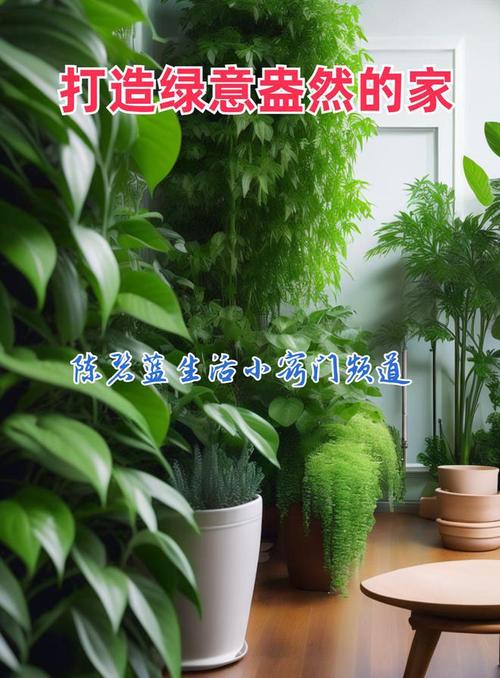 家佣小惠植物清洁保养新风尚绿意盎然由你呵护 范文模稿 家佣小惠植物清洁保养新风尚绿意盎然由你呵护 范文模稿