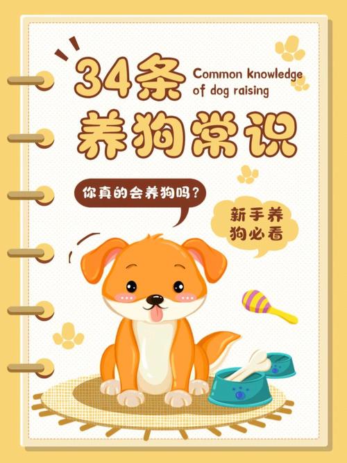 养宠的兴起应该如何做才能让狗狗与我们和谐相处呢 范文模稿 养宠的兴起应该如何做才能让狗狗与我们和谐相处呢 范文模稿