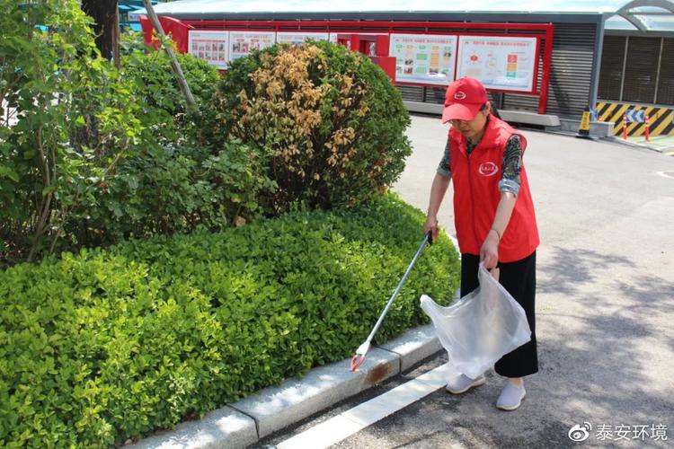 我为群众办实事丨生态城城管局市政绿化科下沉干部杨洪茂用专业本领锻造绿色社区 范文模稿 我为群众办实事丨生态城城管局市政绿化科下沉干部杨洪茂用专业本领锻造绿色社区 范文模稿