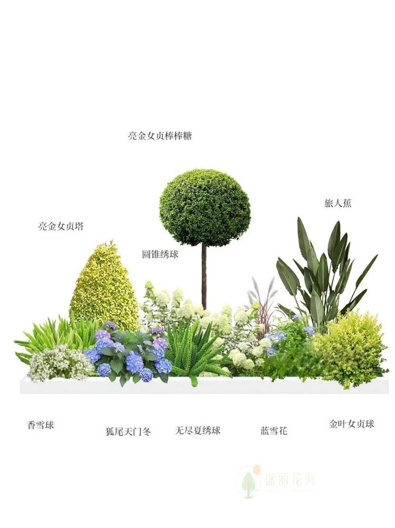 园林绿化中水景植物的配置方法 范文模稿 园林绿化中水景植物的配置方法 范文模稿