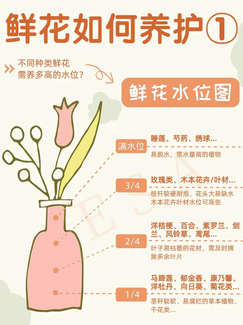 新手如何学习养花 养花新手小技巧 范文模稿 新手如何学习养花 养花新手小技巧 范文模稿