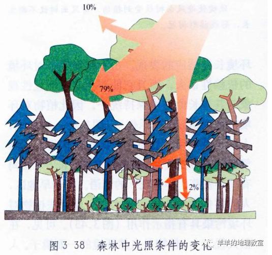 森林遮荫挡雨的本领有多强看郁闭度就知道 范文模稿 森林遮荫挡雨的本领有多强看郁闭度就知道 范文模稿