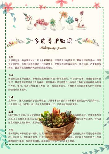 小阳台大舞台10个阳台多肉养护秘籍一文彻底讲透讲明白 范文模稿 小阳台大舞台10个阳台多肉养护秘籍一文彻底讲透讲明白 范文模稿
